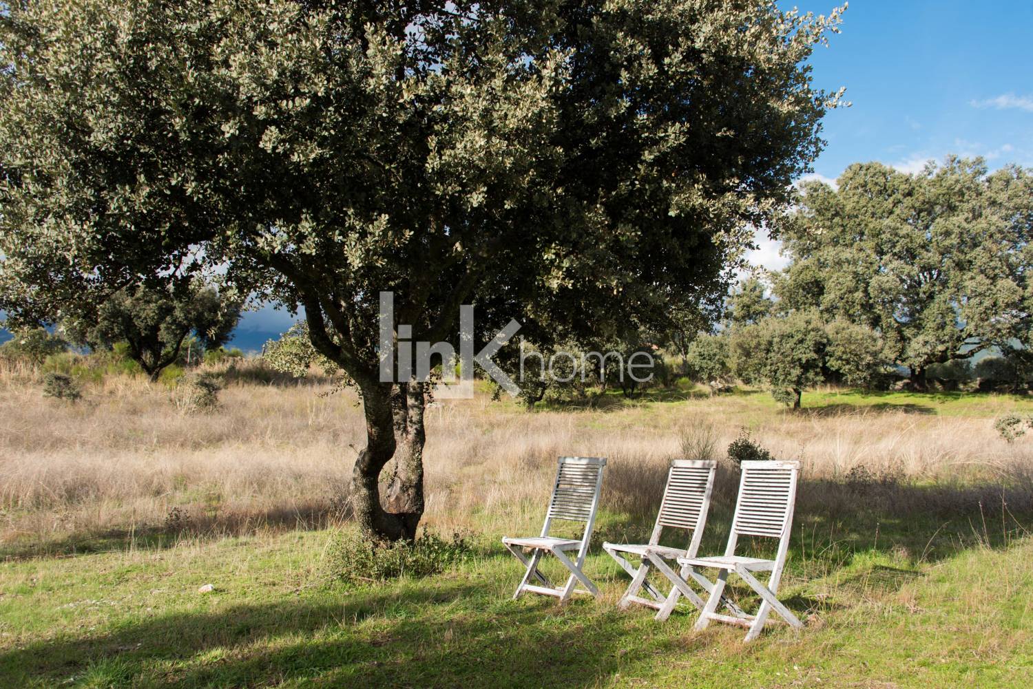 Zona de descanso bajo los árboles