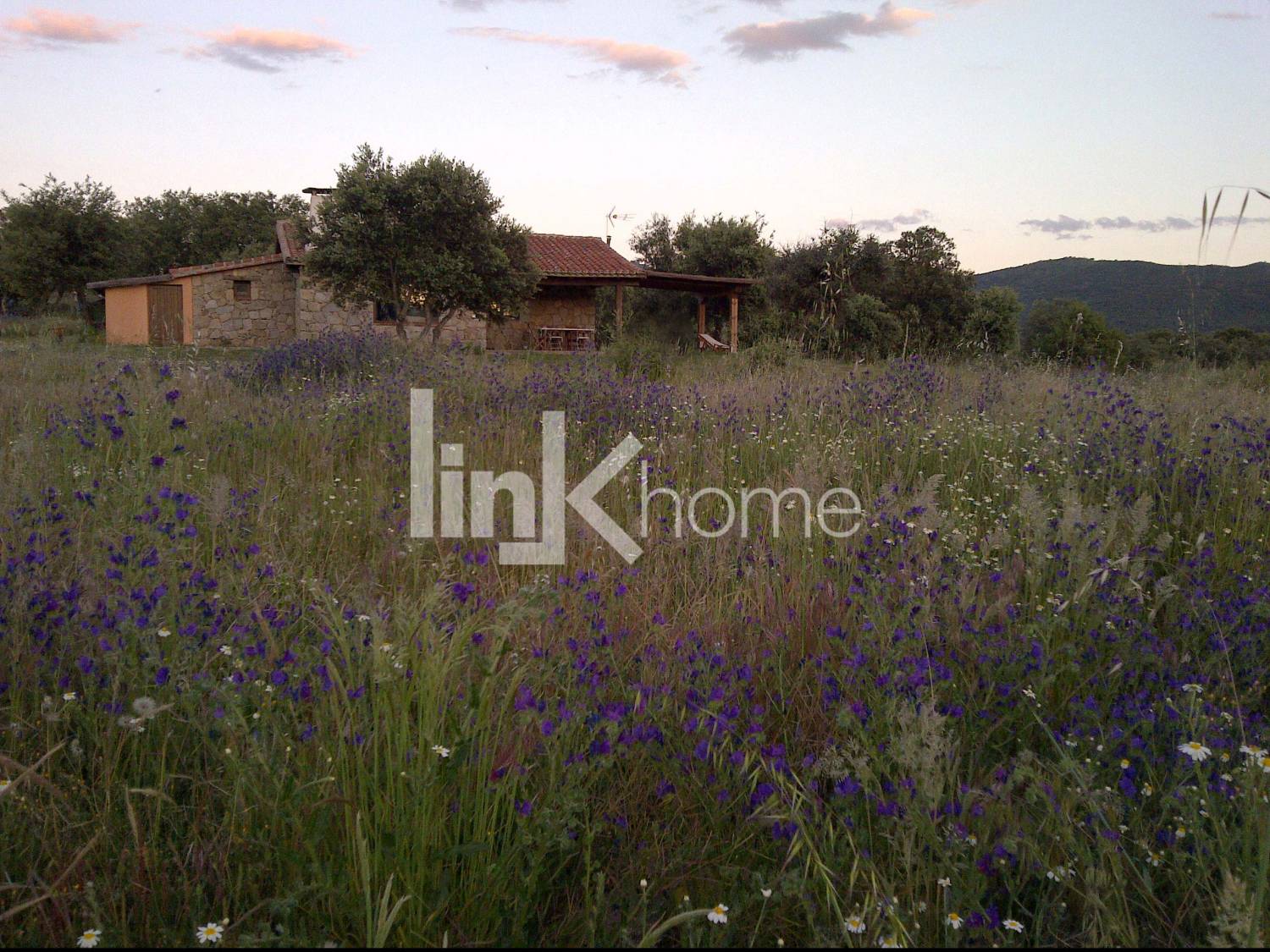 Exterior de la vivienda al amanecer
