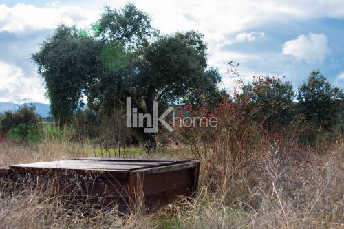 Pozo particular de la finca