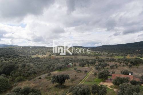 Vista jardín