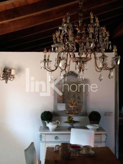 Comedor Principal