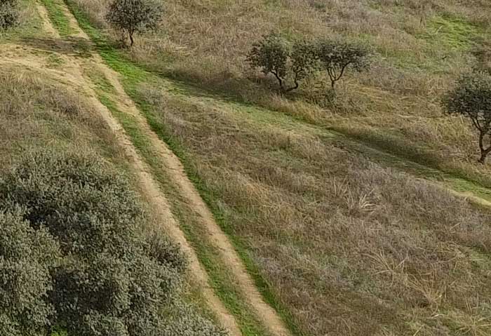 ALREDEDOR