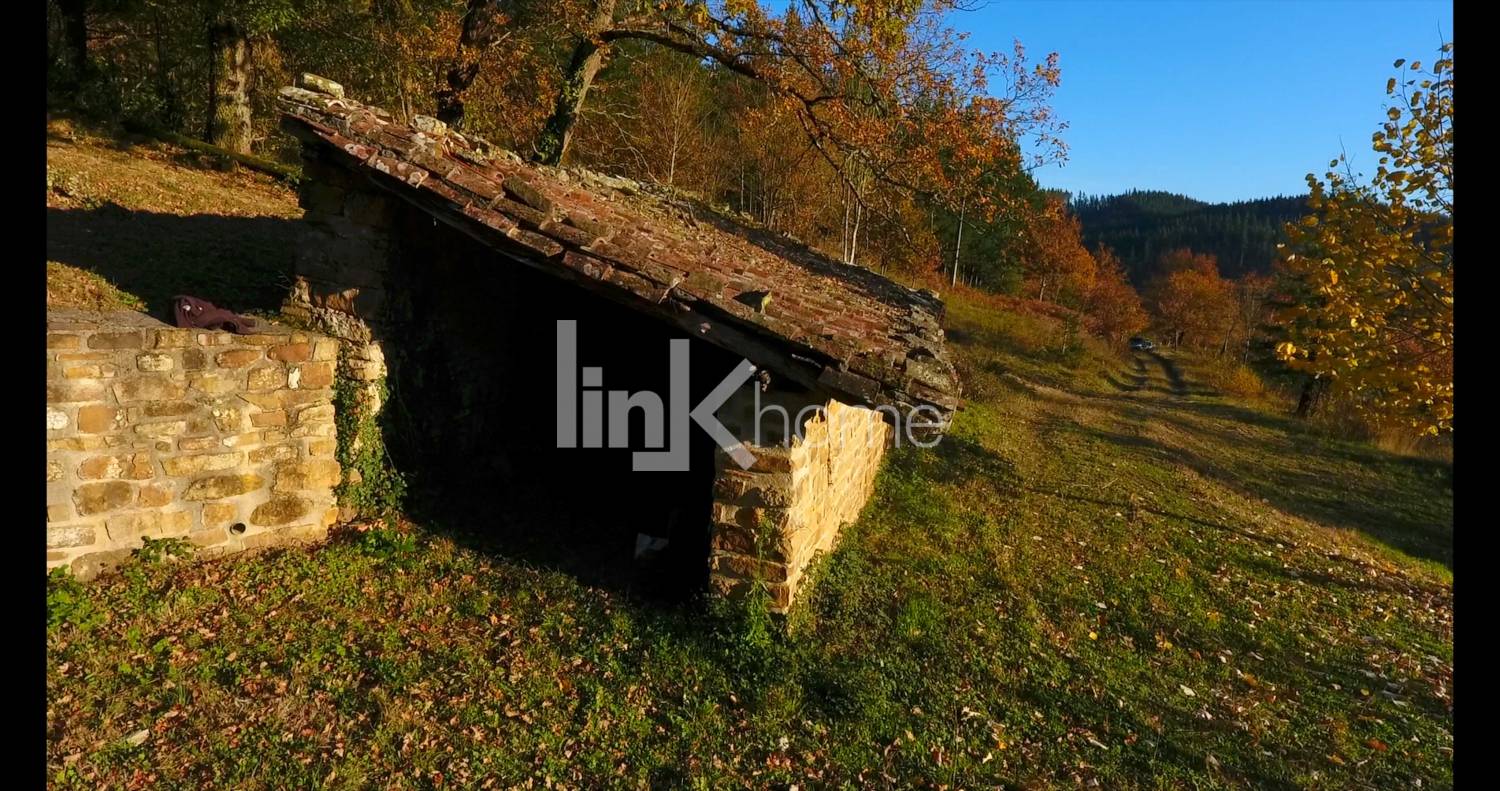 Horno de leña antiguo