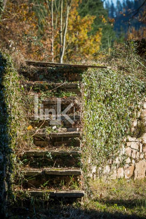 Escalera de subida desde vaquería