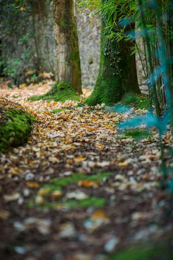 Garden´s corners